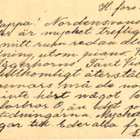FIRMAKORTTI JOENSUU HUGO OLSONI - pikkukuva 2