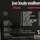 Joe Louis Walker - Blues Survivor (hienokuntoinen cd-levy) - pikkukuva 2