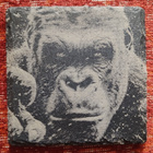 Mukinlalunen Luonnonkivi Gorilla - pikkukuva 1