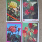 CCCP: 18 almanakkakorttia 1969-1985 - kukat, kasvit - pikkukuva 2