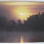 Suomi Finland WWF, kulkematon - pikkukuva 1