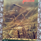 Pellervo No 15 syyskuu 1962 - pikkukuva 1