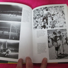 PELE ( hyväkuntoinen kirja vuodelta 2006 ! EI toim,kuluja - pikkukuva 4