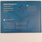 Bisnestriathlon 2013 : Haasteita, elämyksiä onnistumisia - pikkukuva 2