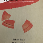 RIKOTTU RUUKKU - NAISEN MATKA VALOA JA TOIVOA KOHTI - pikkukuva 1