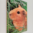 Carolyn Ruf : Guinea pigs - pikkukuva 1