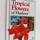 Luca Invernizzi Tettoni ym. : Tropical Flowers of thailand - pikkukuva 1
