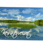 KAUNIS JÄRVIMAISEMA ..."KESÄTERVEISET" -KORTTI / M. Roisko - pikkukuva 1