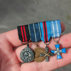 Miniatyyriripa - pikkukuva 1