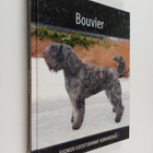 Bouvier - pikkukuva 1
