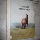 HEVOSEN ANATOMIA ! björn sandgren - pikkukuva 1