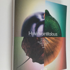 Hyvinvointitalous - pikkukuva 1