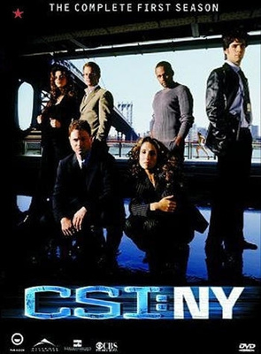 C.S.I. - New York - Kausi 1 (DVD)