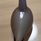 Toikka uikku hiekka - pikkukuva 4
