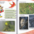 Sudenpentujen lintukäsikirja (sid. 2p. 2013) - pikkukuva 3