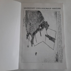 Mainoksia vuosilta 1918-19, Aulis Sokka - pikkukuva 2