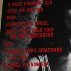 Kate Bush - Cathy's album too  - home demo recordings - LP - pikkukuva 3