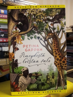 Petina Gappah : Pimeydestä loistaa valo