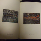 LEENA LUOSTARINEN -näyttelykirja (1988) Sis.postikulut - pikkukuva 2