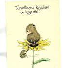 "TURVALLISESSA KYYDISSÄ..." -KORTTI /House Mouse - pikkukuva 1