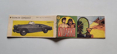 Viidakko nro 7 1955