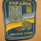 Ukraina: Hihamerkki "Ukrainan juutalaiset joukot" - pikkukuva 1