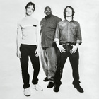 North Mississippi Allstars - 51 Phantom (uudenveroinen cd) - pikkukuva 5