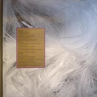 EURYTHMICS  ::  SHAME  ::  VINYYLI   MAXI 12"   UK 1987  ! - pikkukuva 2