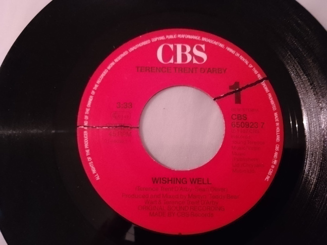 Terence Trent D`arby - Wishing well 7"