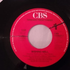 Terence Trent D`arby - Wishing well 7" - pikkukuva 1