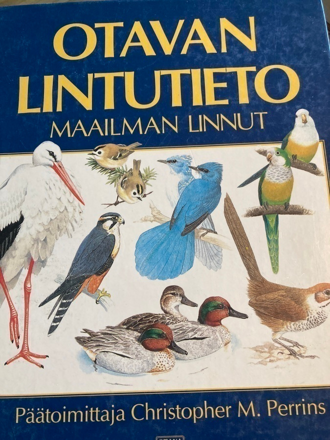 OTAVAN LINTUTIETO - MAAILMAN LINNUT