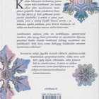 Kenneth Libbrecht: Lumihiutale - pikkukuva 2