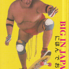 Big in Japan ,Sumo.  e247 - pikkukuva 1