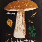 kortti ** Kukka tai näkymä luontoon - eril. taidekortteja - pikkukuva 3