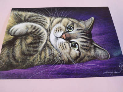 Kissa kortti,kulkematon.