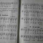 P. J. Hannikainen (toim.): Sirkkunen, 2. p. 1910 / 1912 - pikkukuva 3