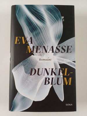 Eva Menasse : Dunkelblum : romaani