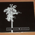 CD Fake Five - pikkukuva 1