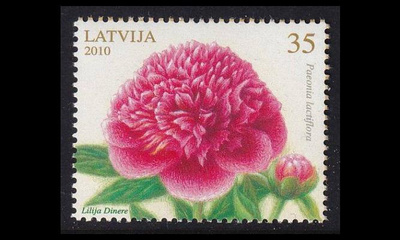 Latvia 782 ** Kukka pioni (2010)