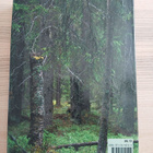 Pertti Saurola; Suomen pöllöt - pikkukuva 2