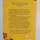 Christy Lefteri : Laululinnut - pikkukuva 2