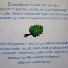Saunakirja ; Pökköä pesään - Kolibri 4.p 2004 - pikkukuva 2