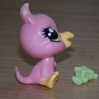 LITTLEST PET SHOP Siesta Perez vauva PAPUKAIJA, LINTU #3813 - pikkukuva 3