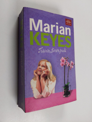 Marian Keyes : Tarinan toinen puoli