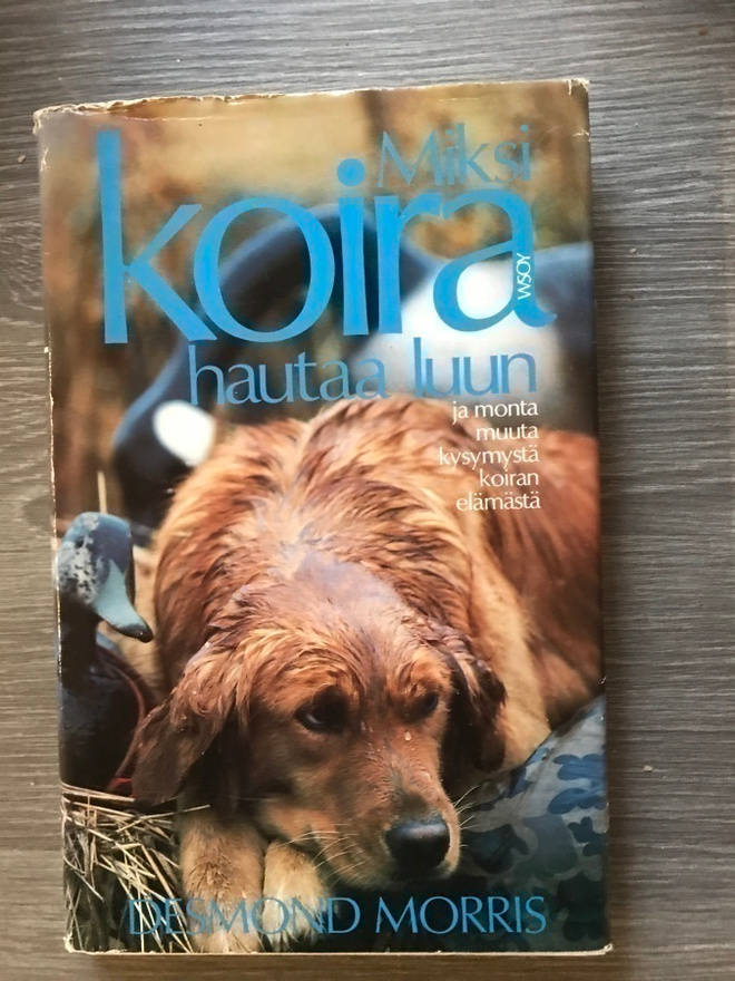 Desmond Morris; Miksi koira hautaa luun