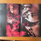 Old Man's Child – Revelation 666 (black metal, cheesecake LP - pikkukuva 4