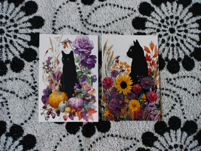 ~Kissa kortti~ 2kpl