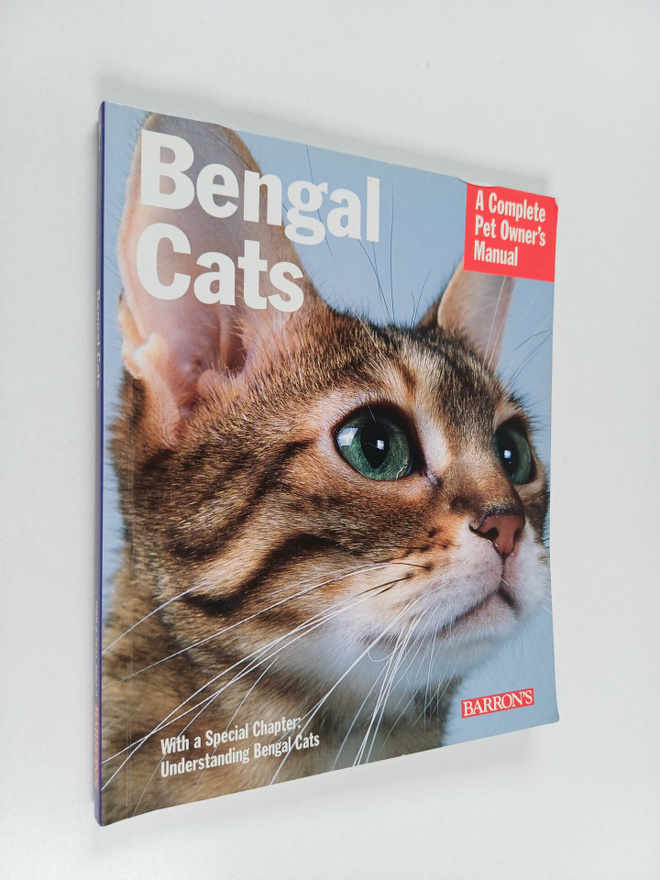Dan Rice : Bengal cats : everything about purchase, care,...