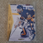 1994-95 SP - [Base] - Die-Cut #14 - Dominik Hasek - pikkukuva 1