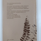 Päivänavauksia - pikkukuva 2